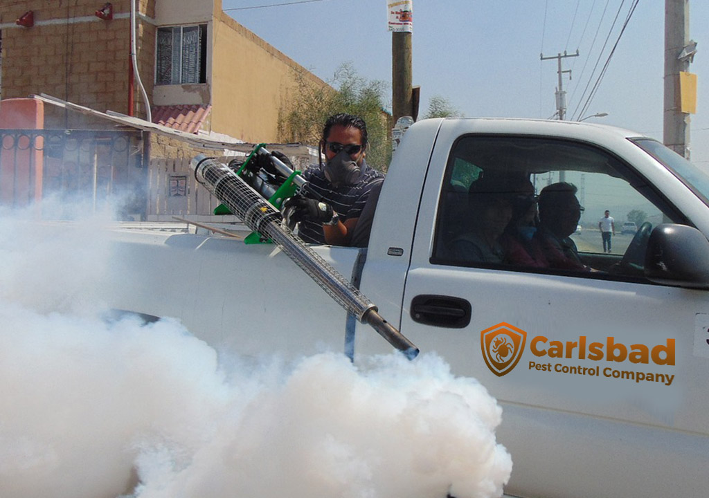 Carslbad Pest Control & Exterminator Services