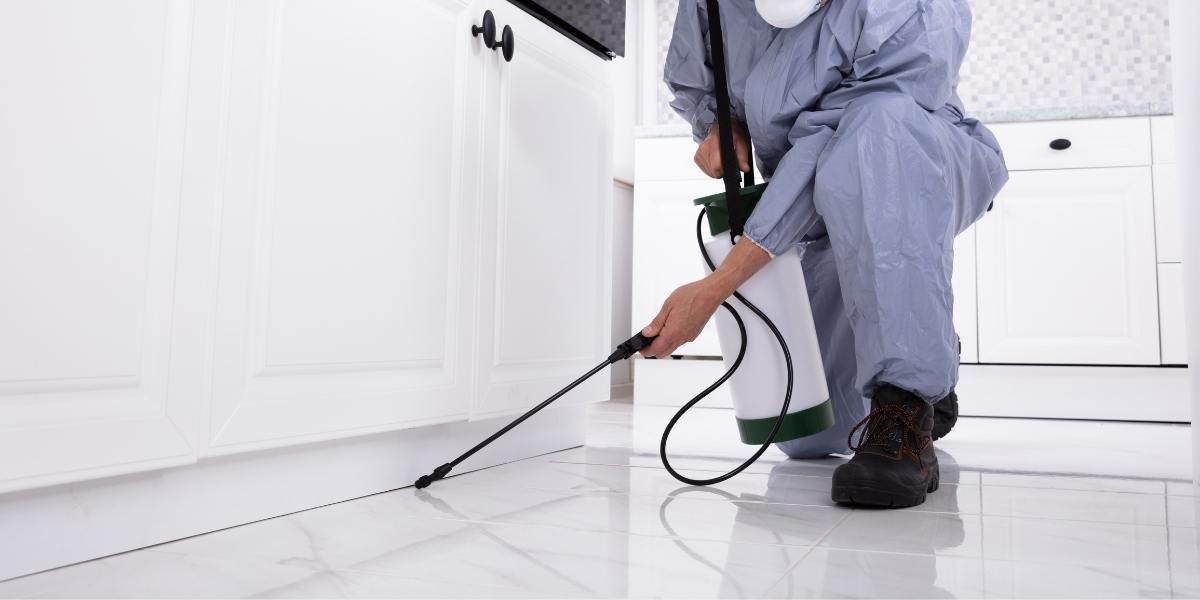 Encinitas Pest Control Services Encinitas Pest Control