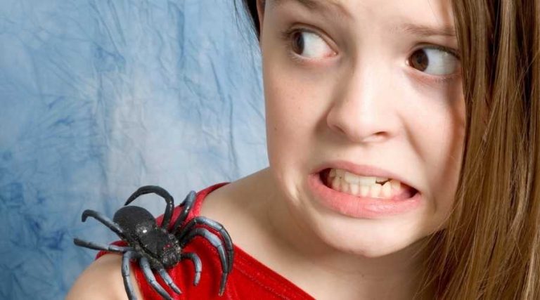 girl afraid of spider on her shoulder