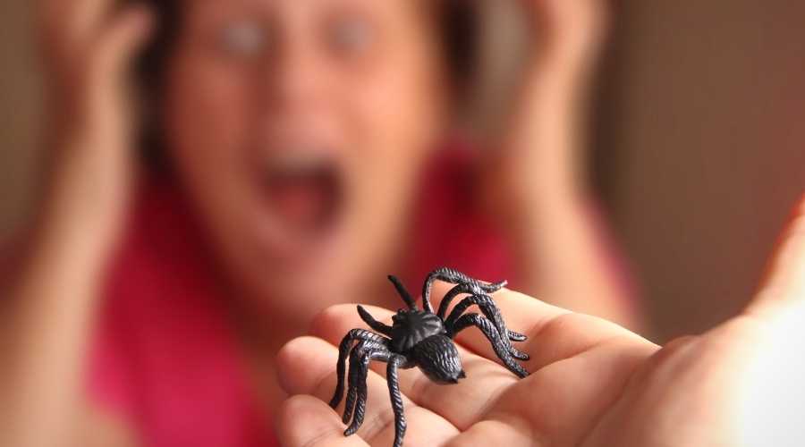 Arachnophobia: Fear of Spiders & How to Overcome It? | Pest Control Carlsbad | Exterminator Carlsbad | Carlsbad Pest Control