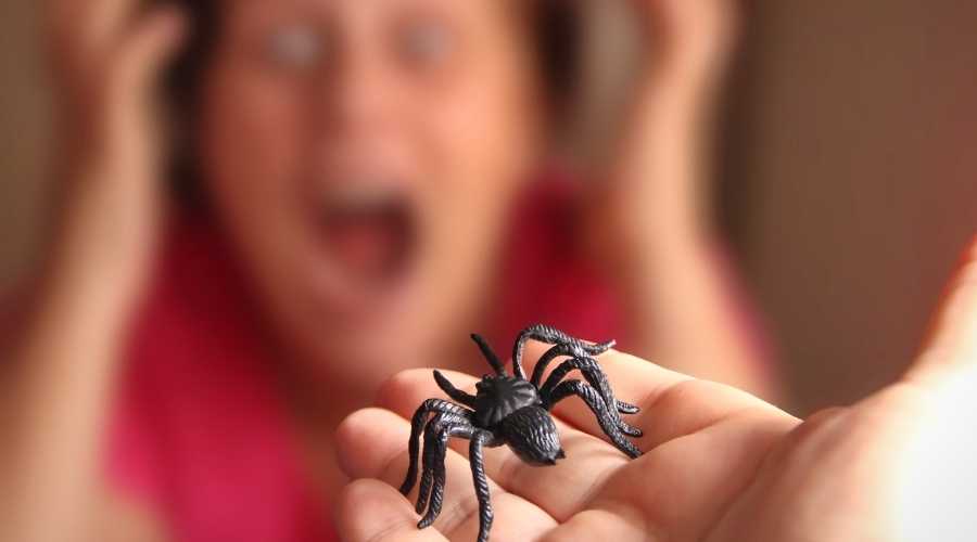 How to Overcome the Fear of Spiders (Arachnophobia) with CBT