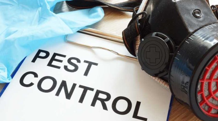 california pest control questions esp